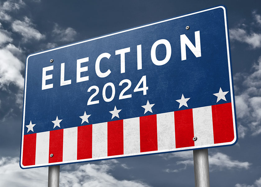 Election 2024 sign
