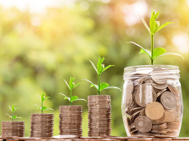 Coins stacked with plants growing on top to represent accumulating wealth.